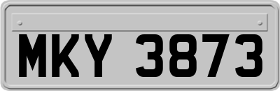 MKY3873
