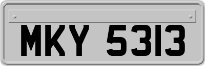 MKY5313