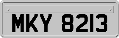 MKY8213