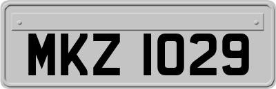 MKZ1029