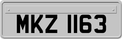 MKZ1163