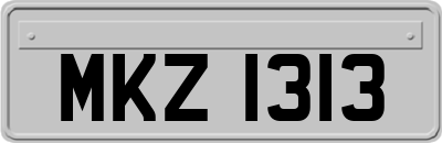 MKZ1313