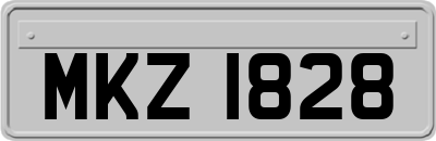 MKZ1828