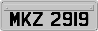 MKZ2919