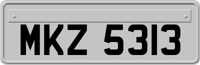 MKZ5313