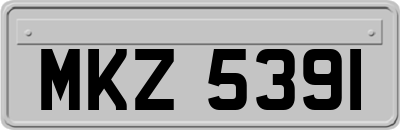 MKZ5391