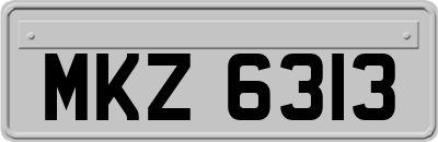 MKZ6313