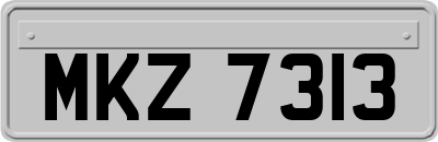 MKZ7313