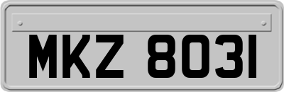 MKZ8031
