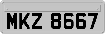 MKZ8667