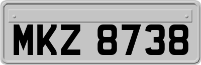 MKZ8738