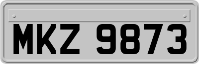 MKZ9873