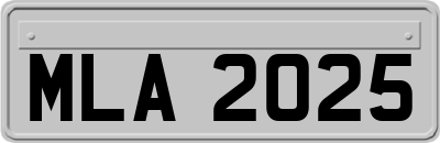 MLA2025