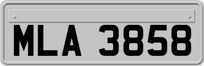 MLA3858