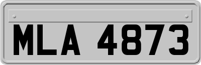 MLA4873