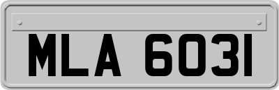 MLA6031