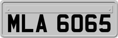 MLA6065