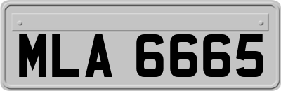 MLA6665