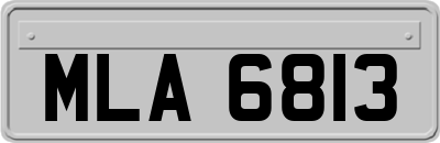 MLA6813