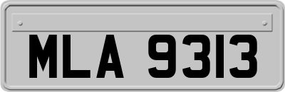 MLA9313