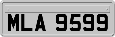 MLA9599