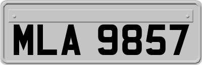 MLA9857
