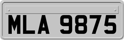 MLA9875