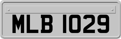MLB1029