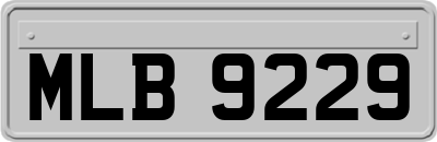 MLB9229
