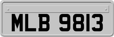 MLB9813