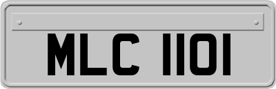 MLC1101