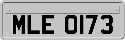MLE0173