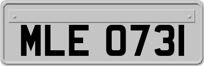 MLE0731
