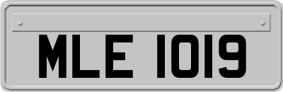MLE1019