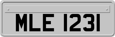 MLE1231
