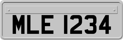MLE1234