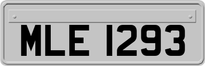 MLE1293