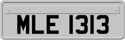 MLE1313