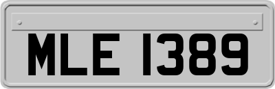 MLE1389
