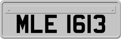 MLE1613
