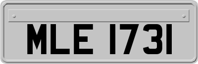 MLE1731