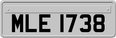MLE1738