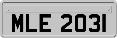 MLE2031