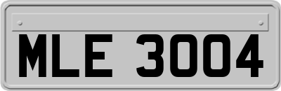 MLE3004
