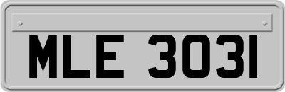 MLE3031
