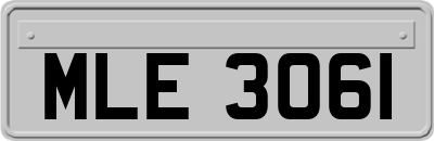 MLE3061