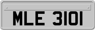 MLE3101
