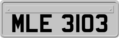 MLE3103
