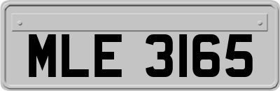 MLE3165