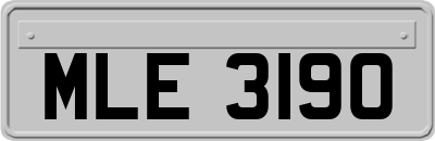 MLE3190